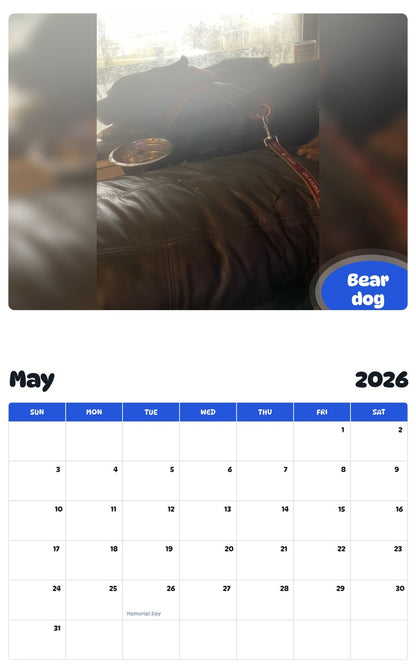 2026 - 2027 Bear dog - Pawidols Pet Calendar