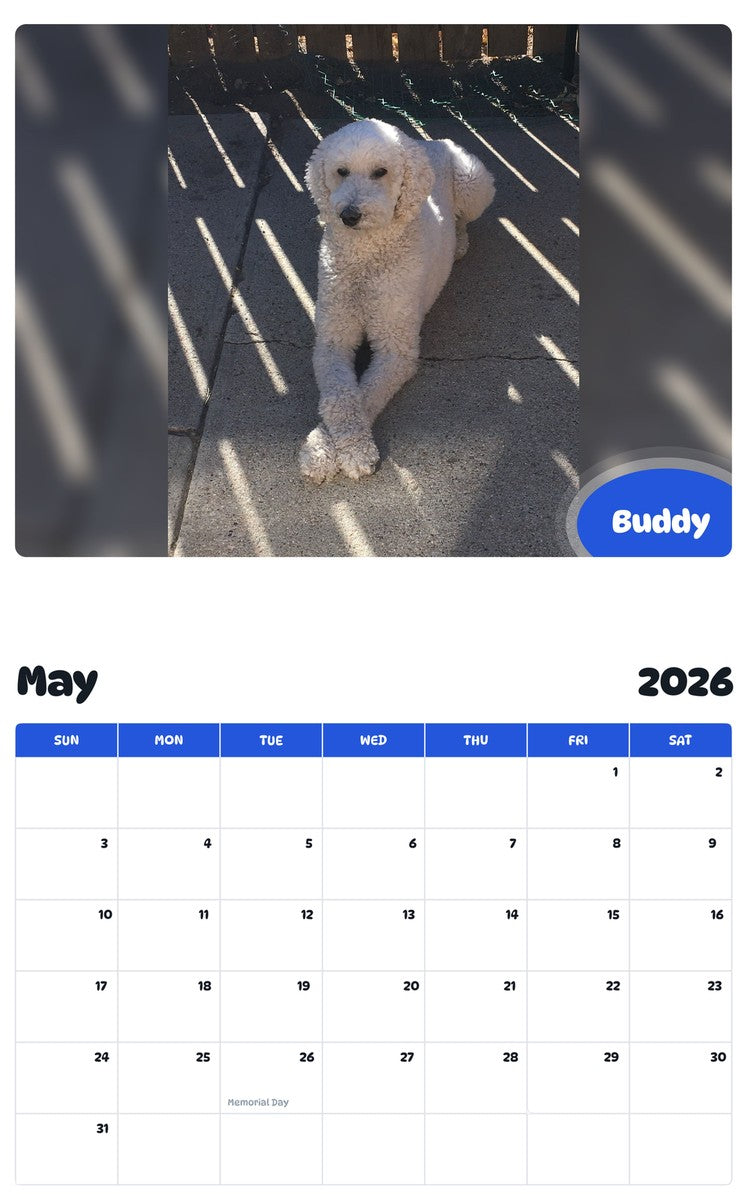 2026 - 2027 Buddy - Pawidols Pet Calendar