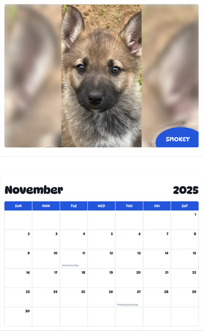 July 2025 - June 2026 Smokey - Pawidols Pet Calendar