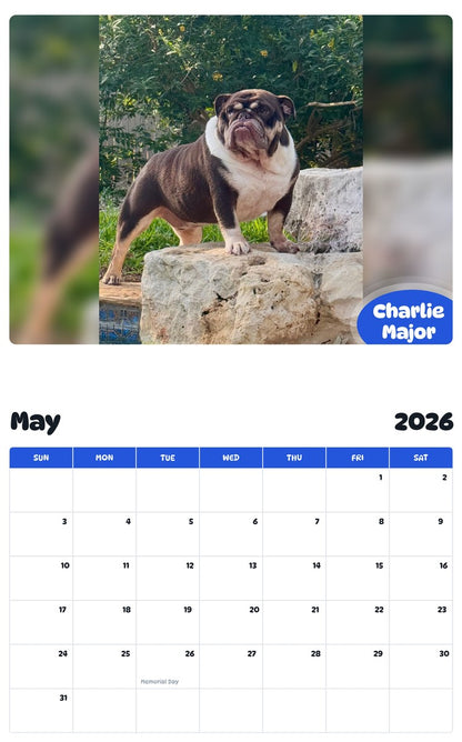 2026 - 2027 Charlie Major - Pawidols Pet Calendar