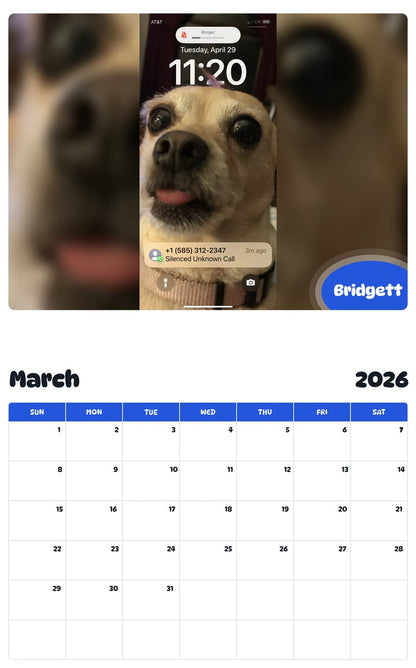 November 2025 - October 2026 Bridgett - Pawidols Pet Calendar