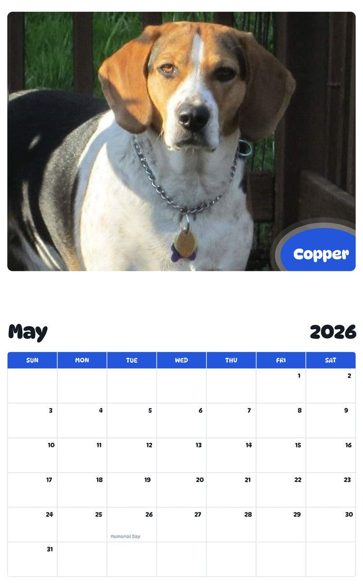 2026 - 2027 Copper - Pawidols Pet Calendar