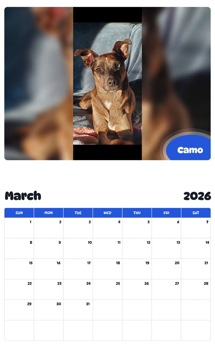 November 2025 - October 2026 Camo - Pawidols Pet Calendar