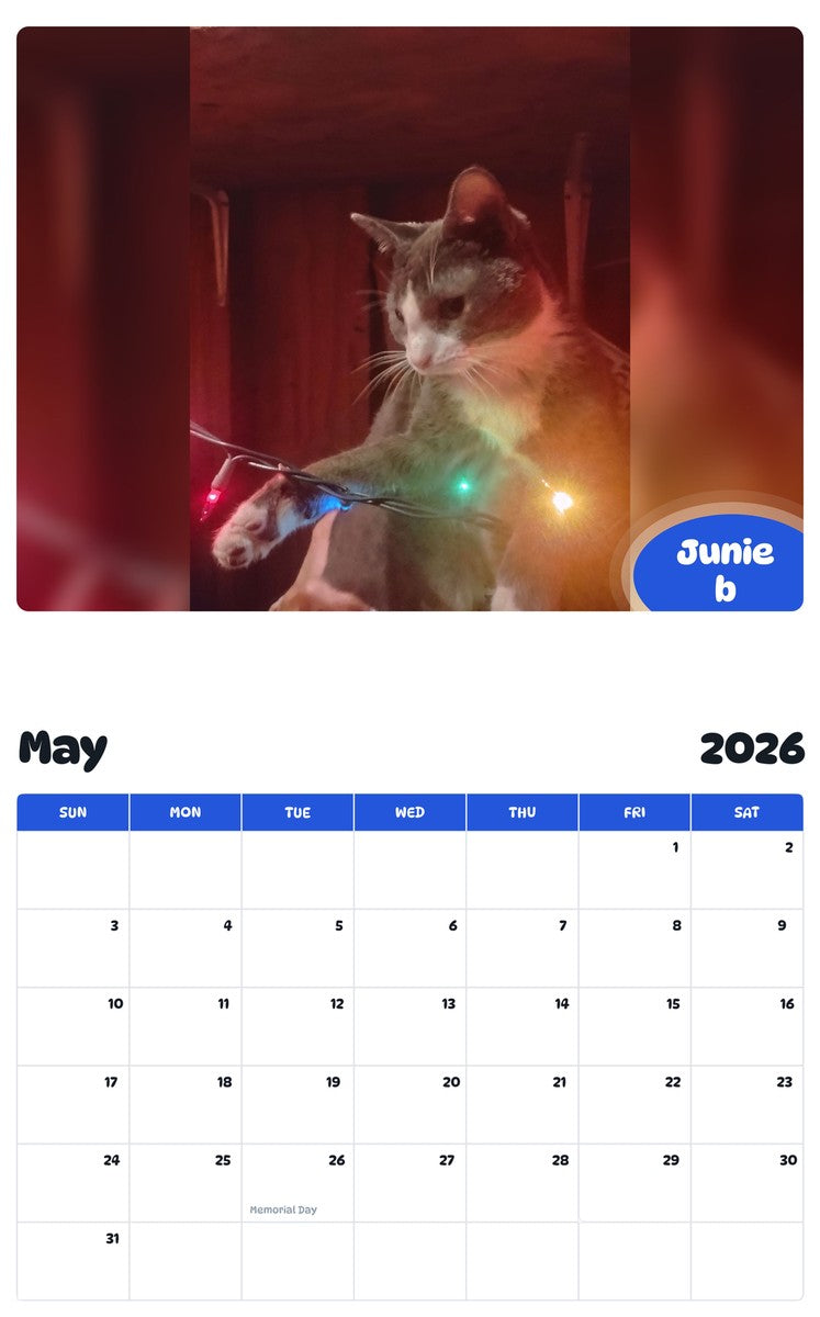2026 - 2027 Junie b - Pawidols Pet Calendar