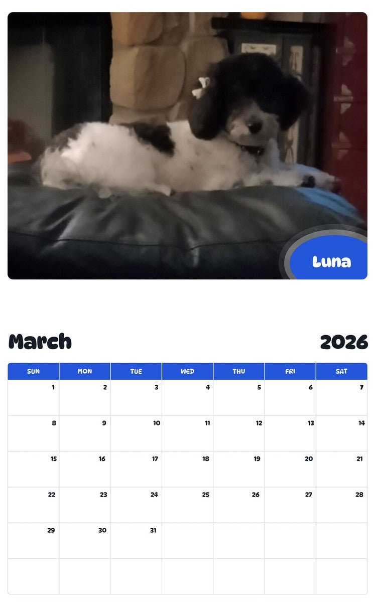 November 2025 - October 2026 Luna - Pawidols Pet Calendar
