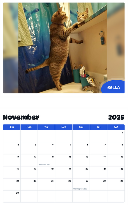July 2025 - June 2026 Bella - Pawidols Pet Calendar
