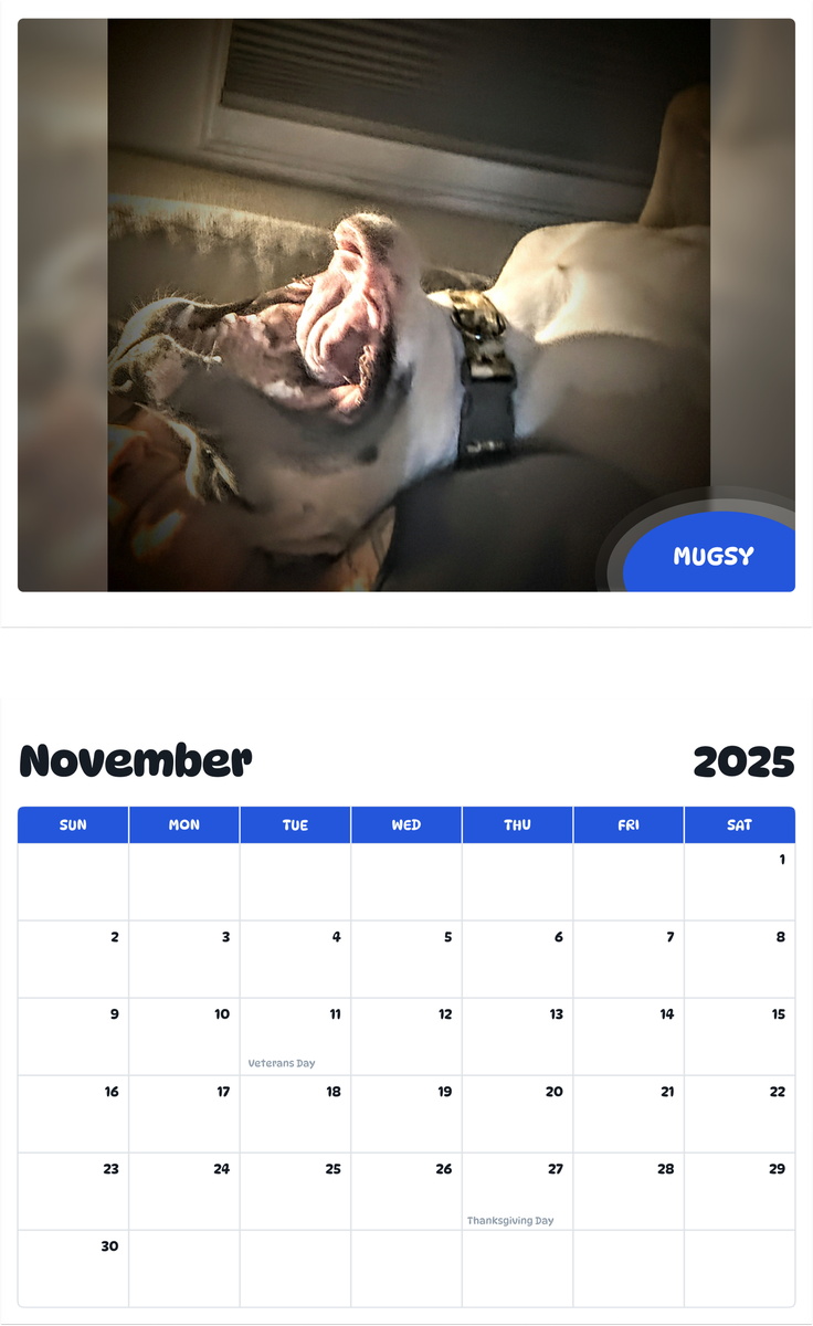 July 2025 - June 2026 Mugsy - Pawidols Pet Calendar