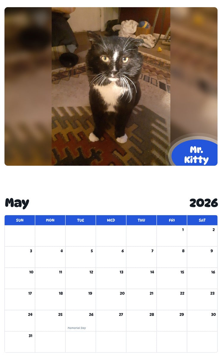 2026 - 2027 Mr. Kitty - Pawidols Pet Calendar