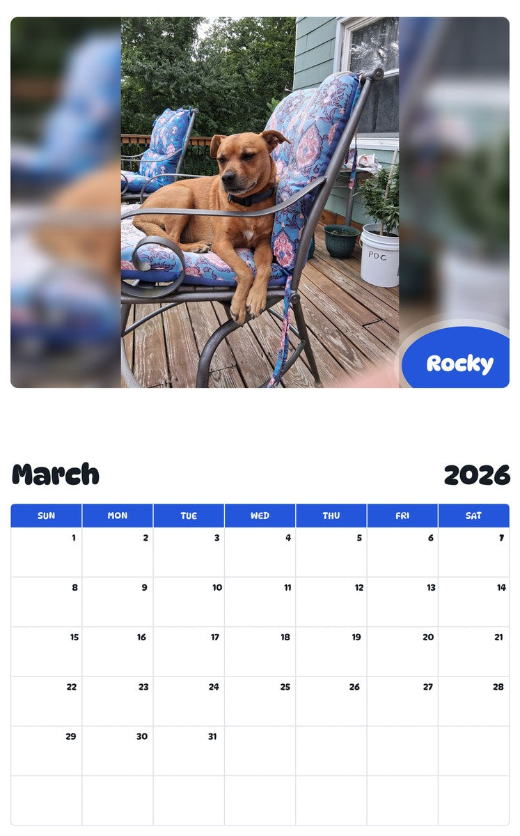 November 2025 - October 2026 Rocky - Pawidols Pet Calendar