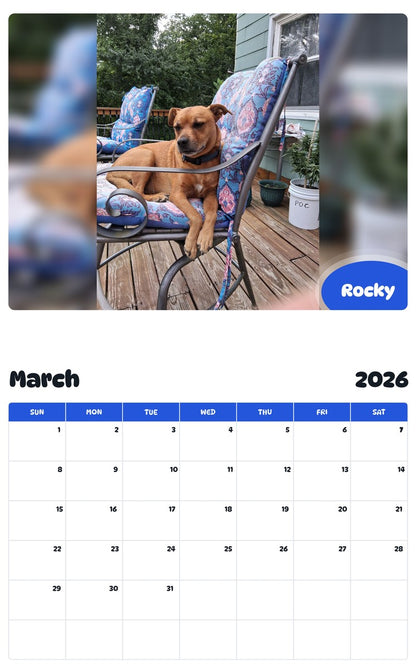 November 2025 - October 2026 Rocky - Pawidols Pet Calendar