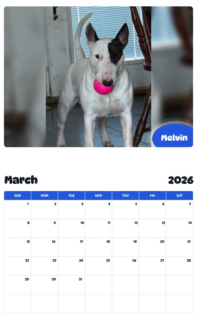 November 2025 - October 2026 Melvin - Pawidols Pet Calendar