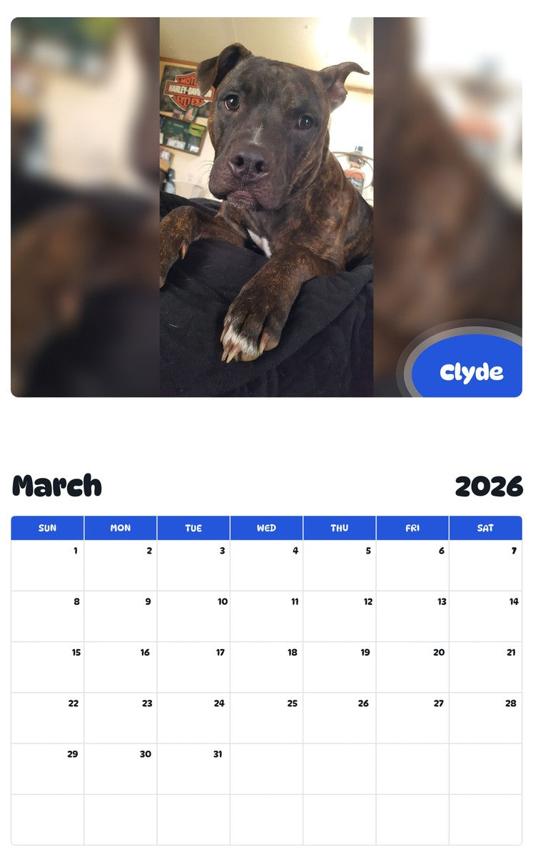 November 2025 - October 2026 Clyde - Pawidols Pet Calendar