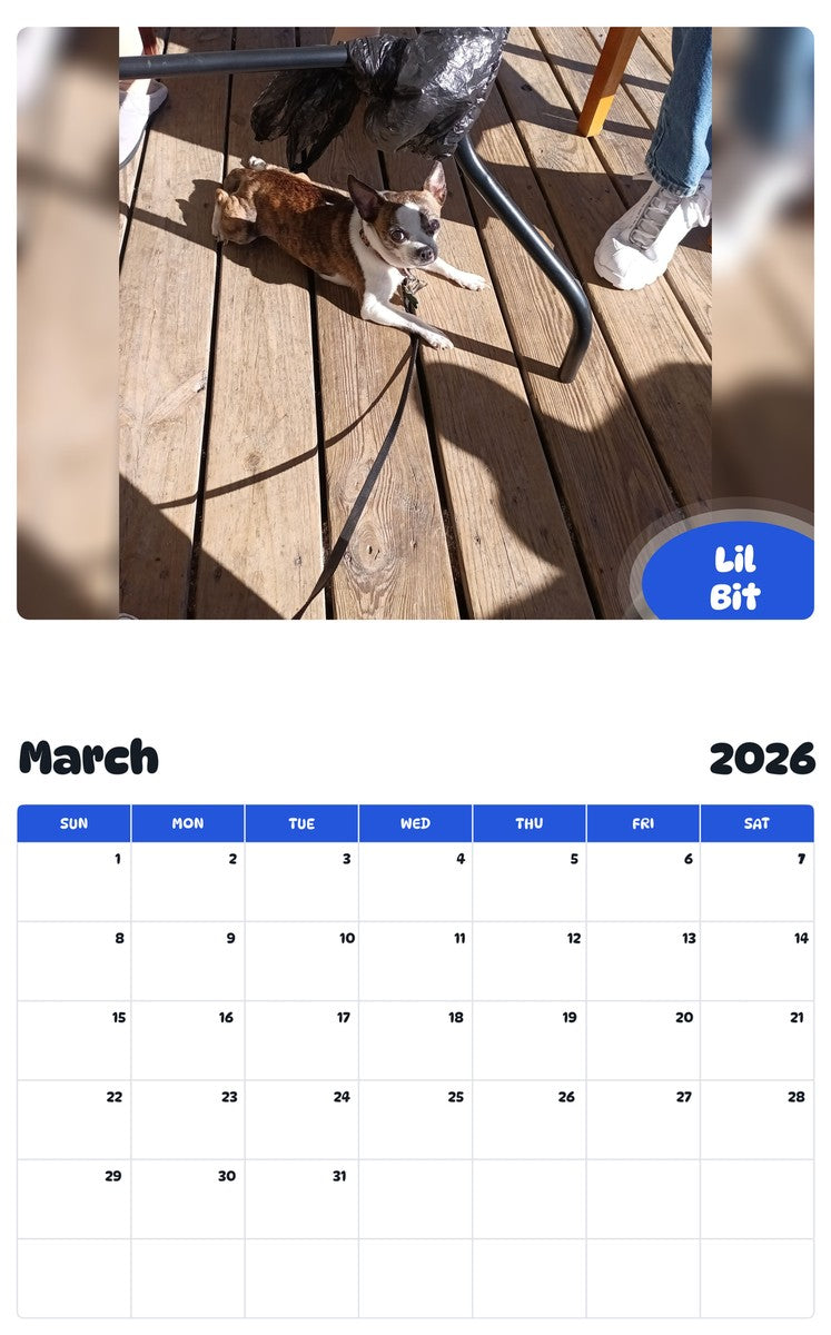 November 2025 - October 2026 Lil Bit - Pawidols Pet Calendar