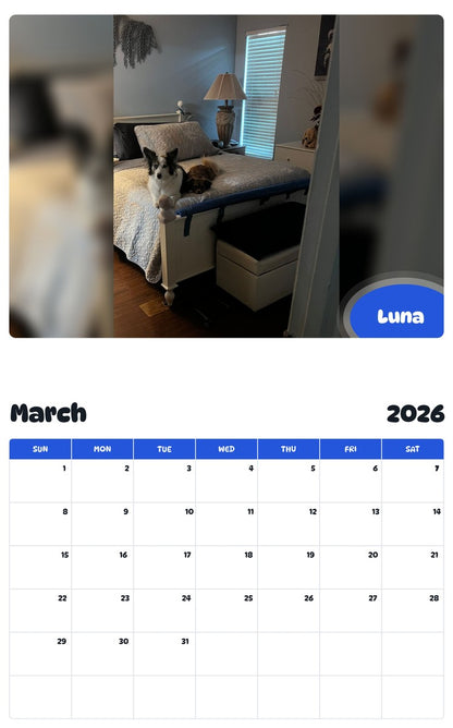 November 2025 - October 2026 Luna - Pawidols Pet Calendar