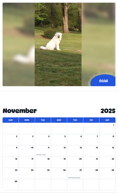 July 2025 - June 2026 Bear - Pawidols Pet Calendar