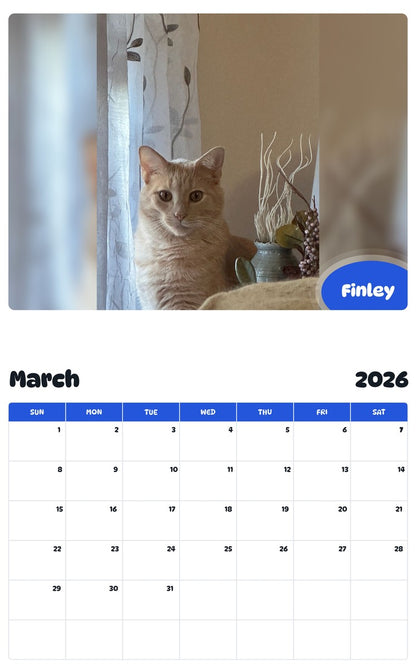 November 2025 - October 2026 Finley - Pawidols Pet Calendar