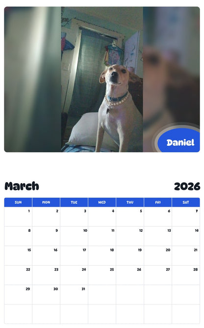 November 2025 - October 2026 Daniel - Pawidols Pet Calendar