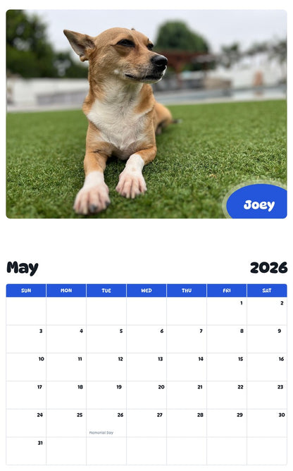 2026 - 2027 Joey - Pawidols Pet Calendar