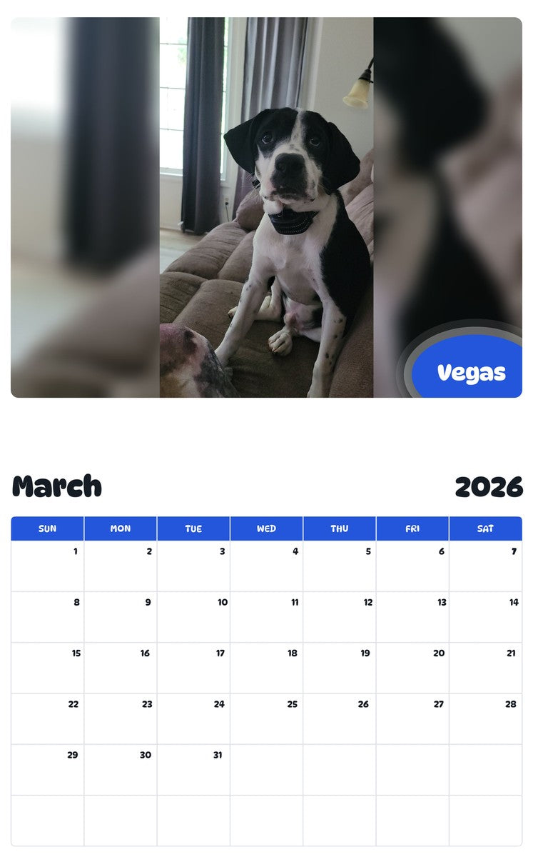November 2025 - October 2026 Vegas - Pawidols Pet Calendar