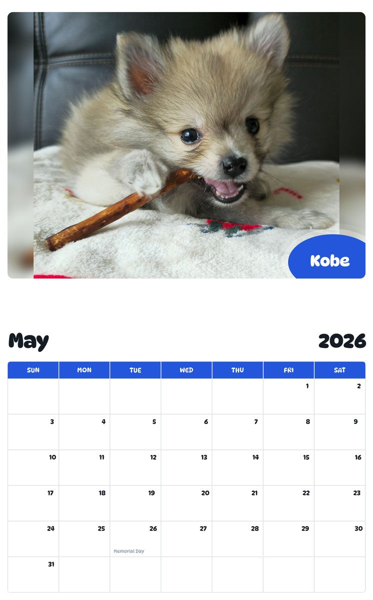 2026 - 2027 Kobe - Pawidols Pet Calendar
