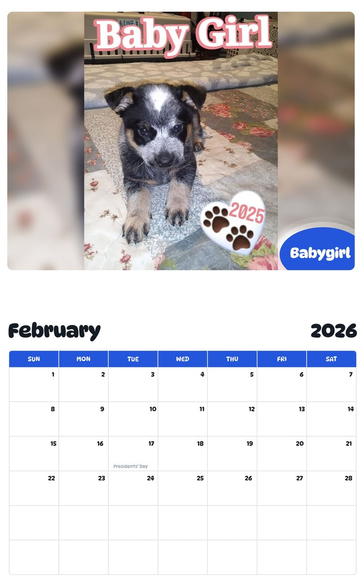 October 2025 - September 2026 Babygirl - Pawidols Pet Calendar