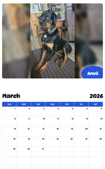 November 2025 - October 2026 Anvil - Pawidols Pet Calendar