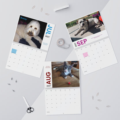 NEW Paw Calendar MIX October 2026 - September 2027