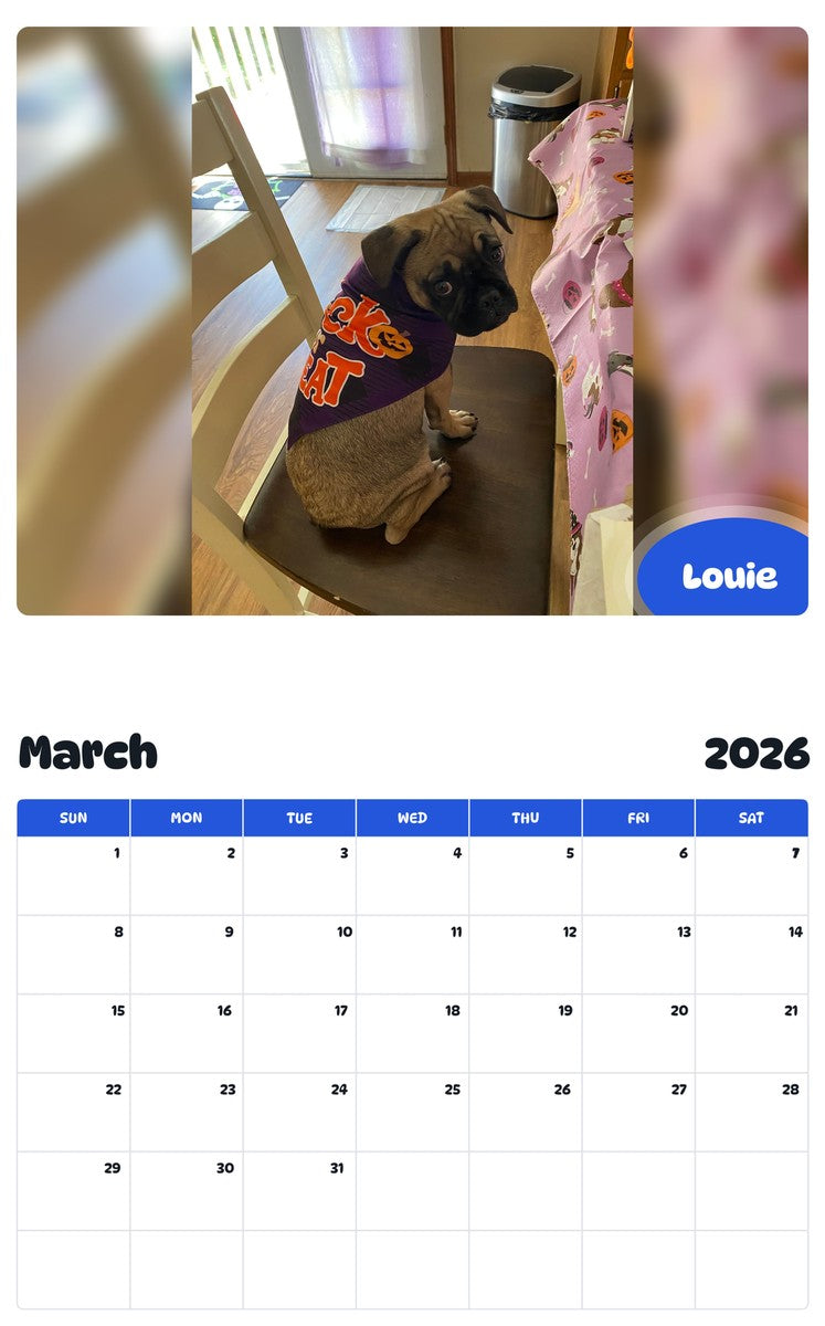 November 2025 - October 2026 Louie - Pawidols Pet Calendar