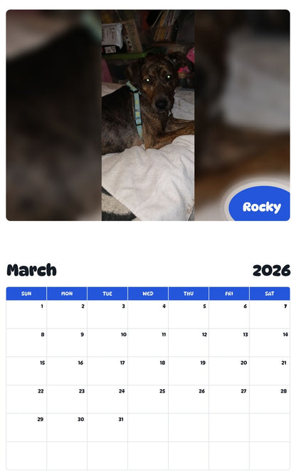 November 2025 - October 2026 Rocky - Pawidols Pet Calendar