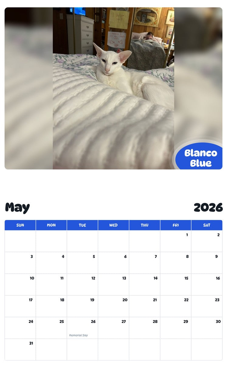 2026 - 2027 Blanco Blue - Pawidols Pet Calendar