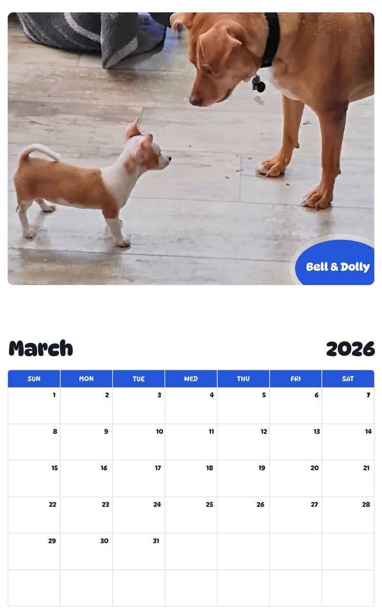 November 2025 - October 2026 Bell & Dolly - Pawidols Pet Calendar