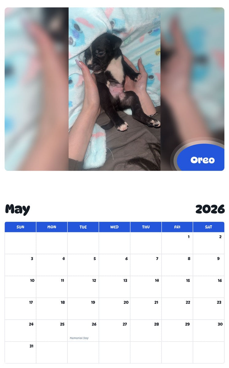 2026 - 2027 Oreo - Pawidols Pet Calendar