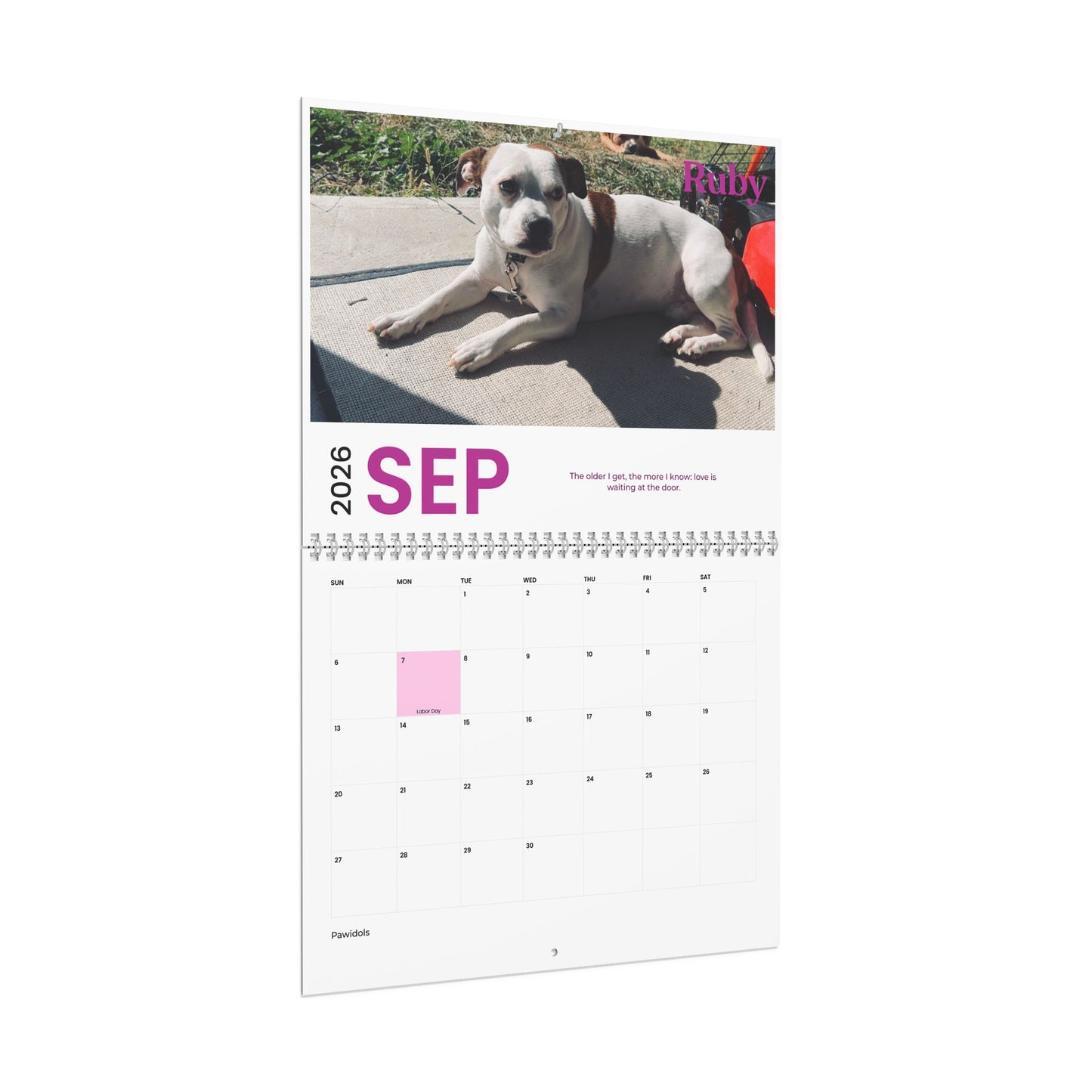 10669-zst95pd59sp6oazst9z56lub6fphiy15