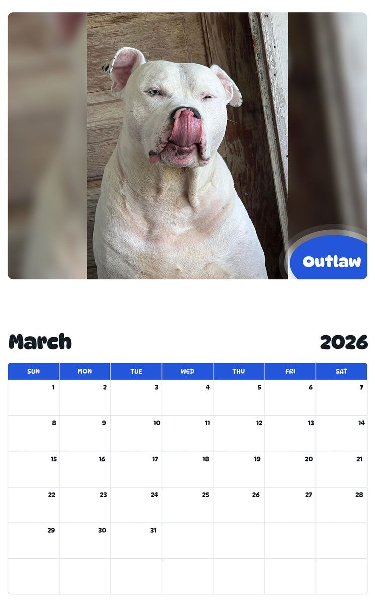 November 2025 - October 2026 Outlaw - Pawidols Pet Calendar