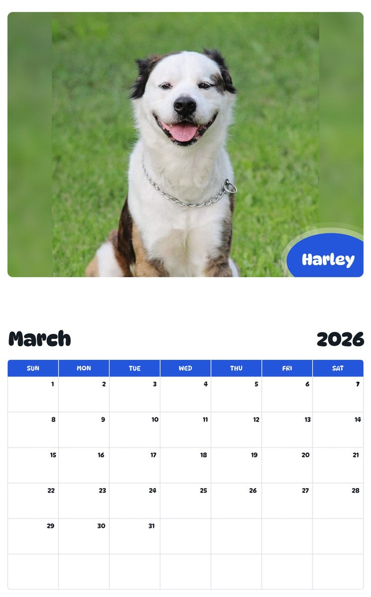 November 2025 - October 2026 Harley - Pawidols Pet Calendar