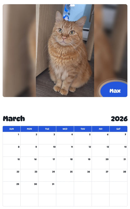 November 2025 - October 2026 Max - Pawidols Pet Calendar