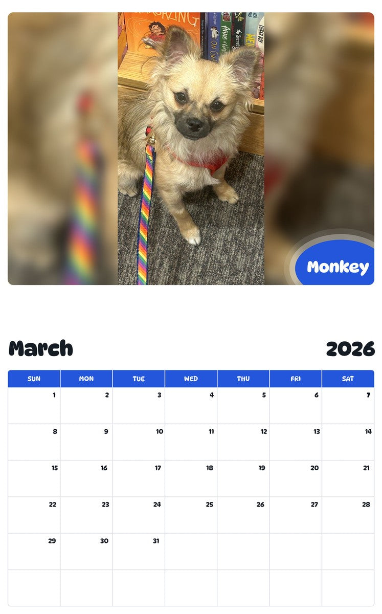 November 2025 - October 2026 Monkey - Pawidols Pet Calendar