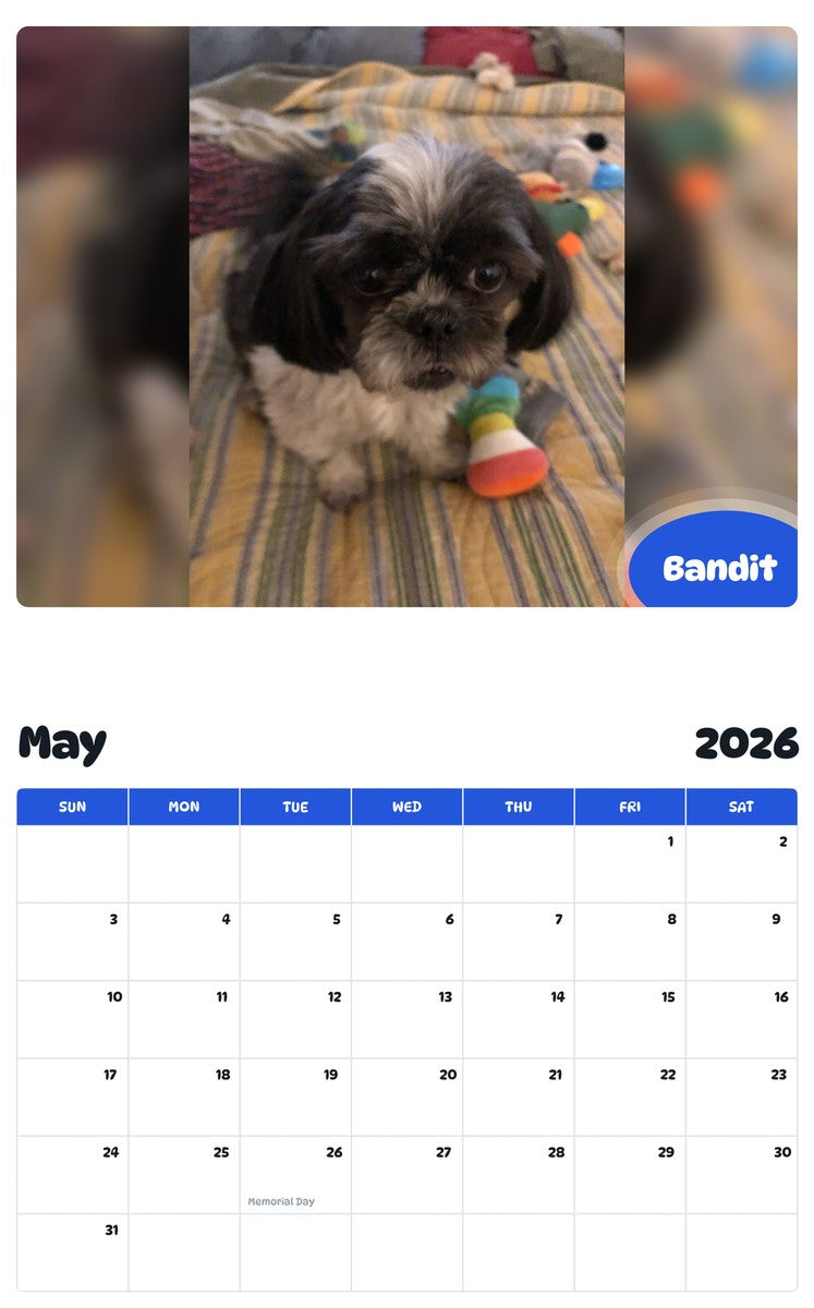 2026 - 2027 Bandit - Pawidols Pet Calendar