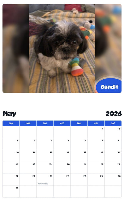 2026 - 2027 Bandit - Pawidols Pet Calendar