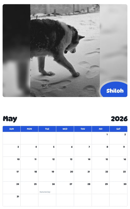 2026 - 2027 Shiloh - Pawidols Pet Calendar