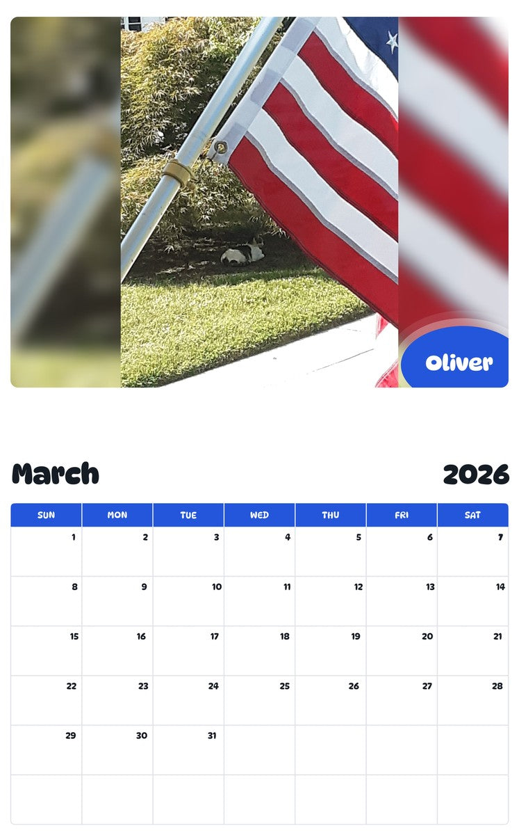 November 2025 - October 2026 Oliver - Pawidols Pet Calendar