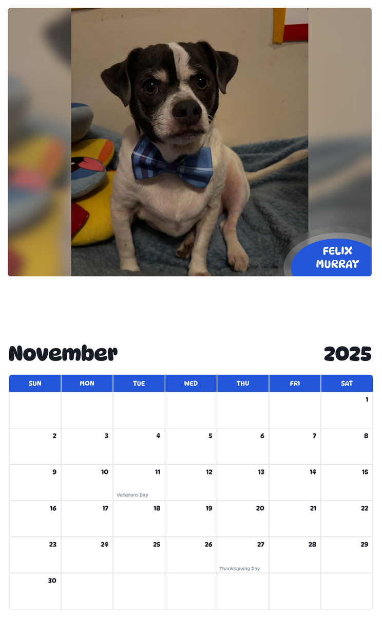 July 2025 - June 2026 Felix Murray - Pawidols Pet Calendar