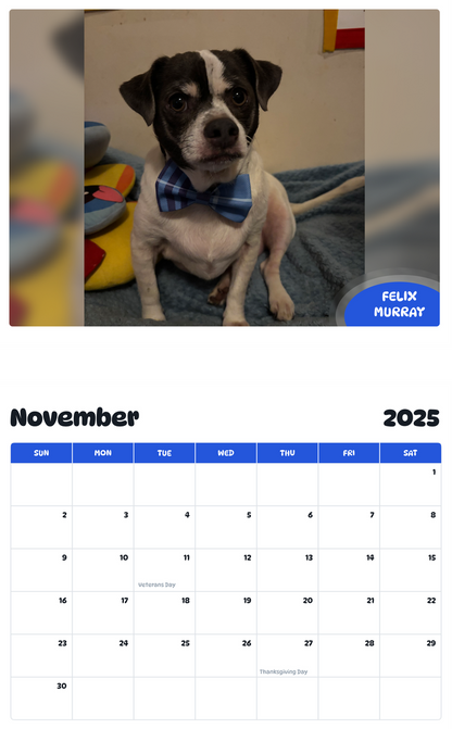 July 2025 - June 2026 Felix Murray - Pawidols Pet Calendar