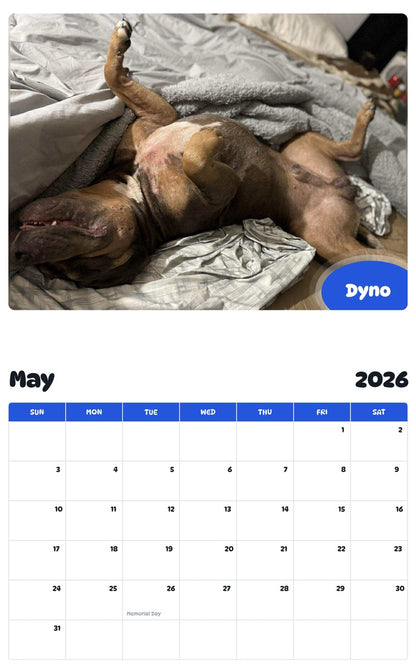 2026 - 2027 Dyno - Pawidols Pet Calendar