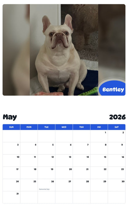 2026 - 2027 Bentley - Pawidols Pet Calendar
