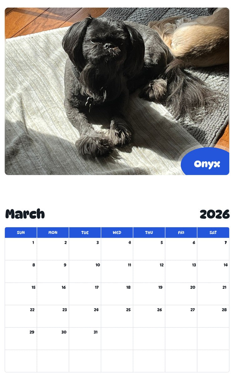 November 2025 - October 2026 Onyx - Pawidols Pet Calendar