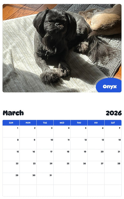 November 2025 - October 2026 Onyx - Pawidols Pet Calendar