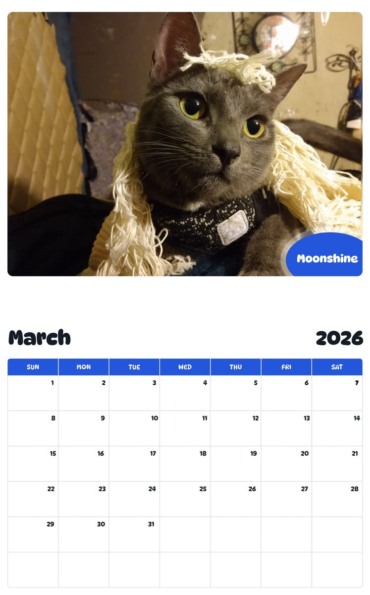 November 2025 - October 2026 Moonshine - Pawidols Pet Calendar