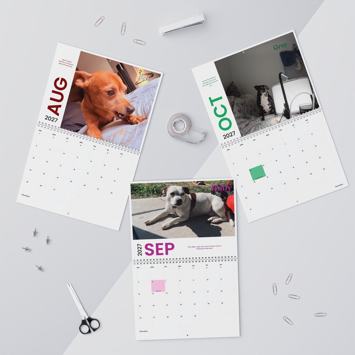NEW Paw Calendar DOG November 2026 - October 2027