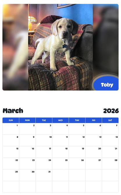 November 2025 - October 2026 Toby - Pawidols Pet Calendar